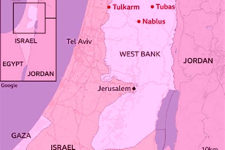 Escorts Tammun, Palestine — Local Companions