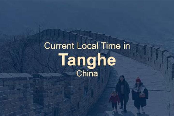 Escorts Tanghe, China — Local Companions
