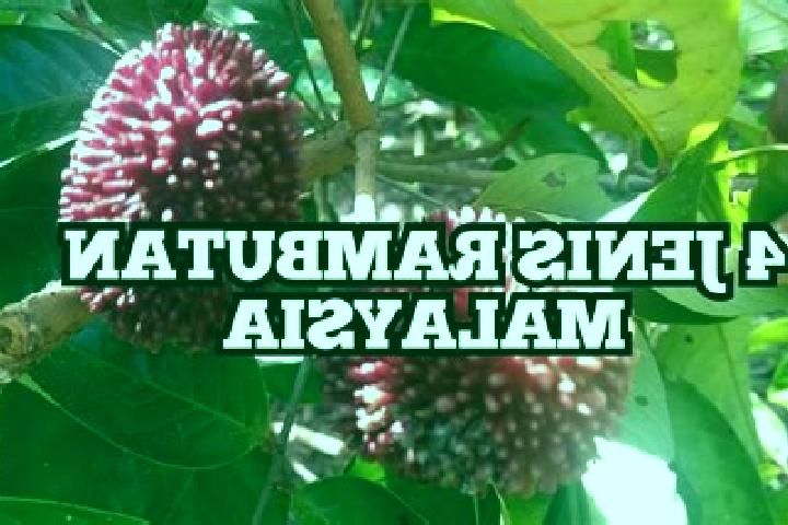 Escorts Tanjung Rambutan, Malaysia — Local Companions