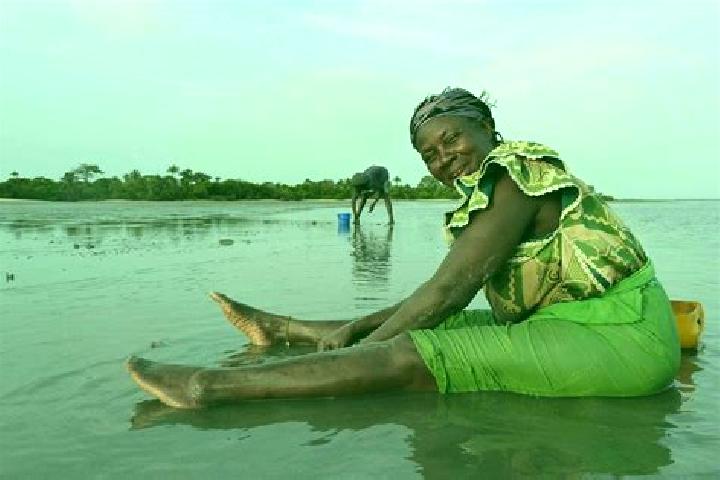 Escorts Tankular, Gambia — Local Companions