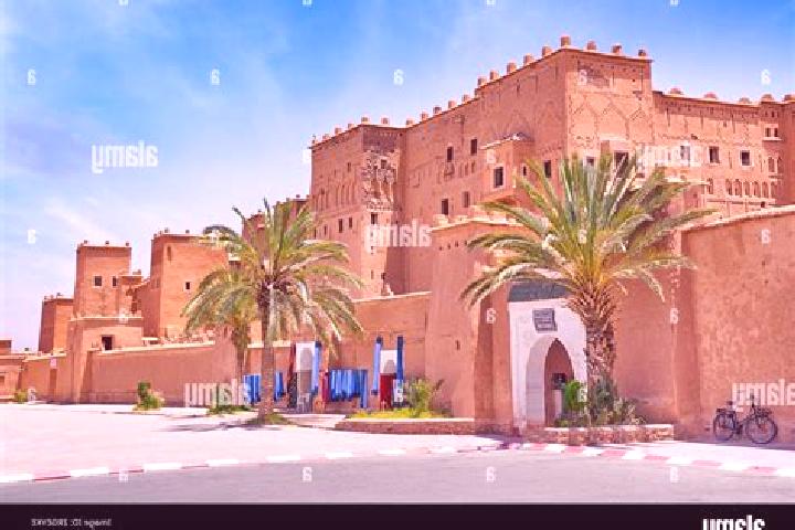 Escorts Taourirt, Morocco — Local Companions