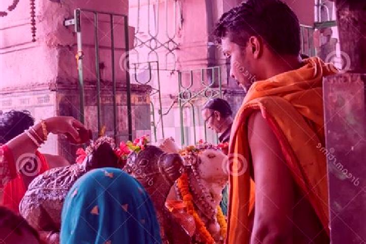 Escorts Tarakeswar, India — Local Companions