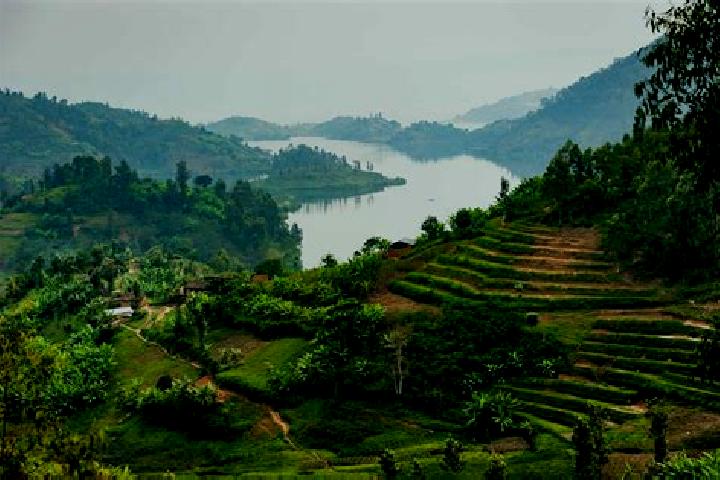 Escorts Tare, Rwanda — Local Companions
