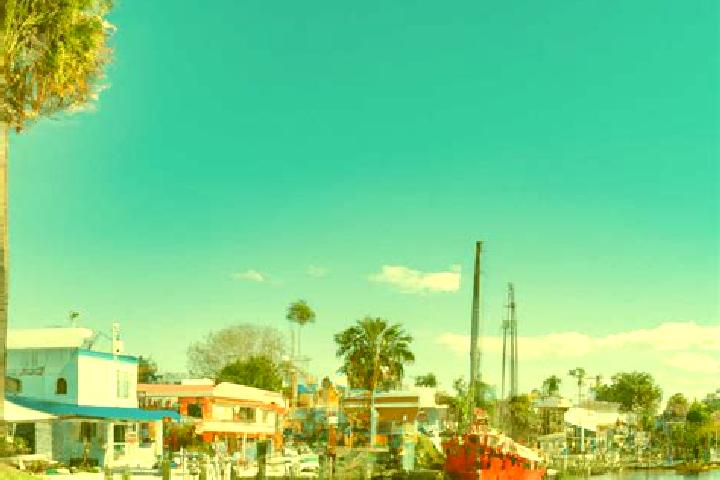 Escorts Tarpon Springs, United States — Local Companions