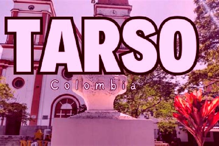 Escorts Tarso, Colombia — Local Companions