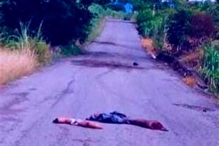 Escorts Tataltepec de Valdes, Mexico — Local Companions