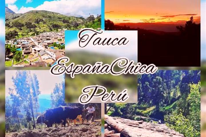Escorts Tauca, Peru — Local Companions