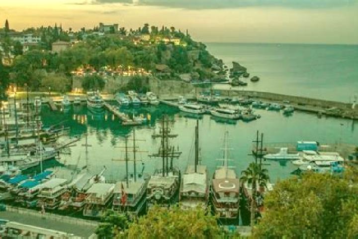 Escorts Tavsanli, Turkey — Local Companions