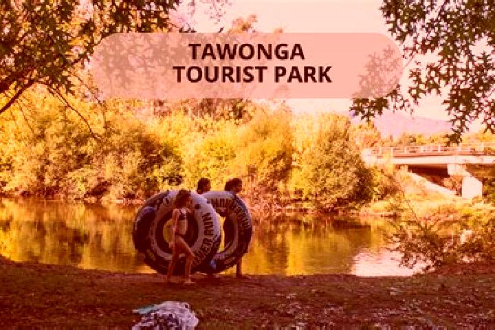 Escorts Tawonga, Australia — Local Companions