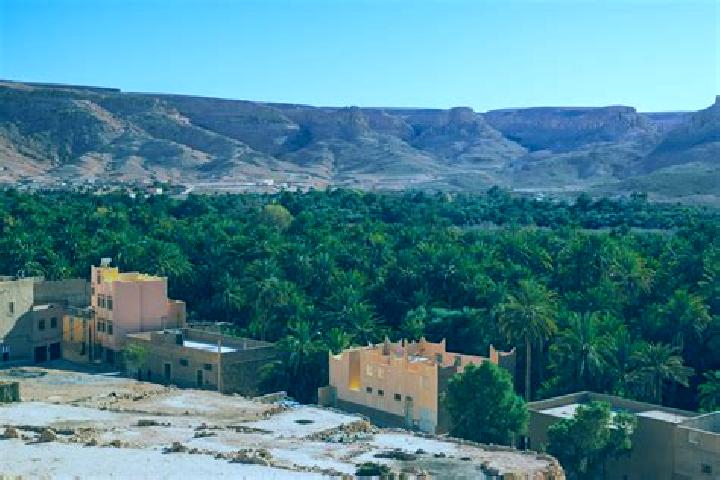 Escorts Tazarine, Morocco — Local Companions