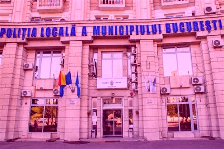Escorts Teisani, Romania — Local Companions