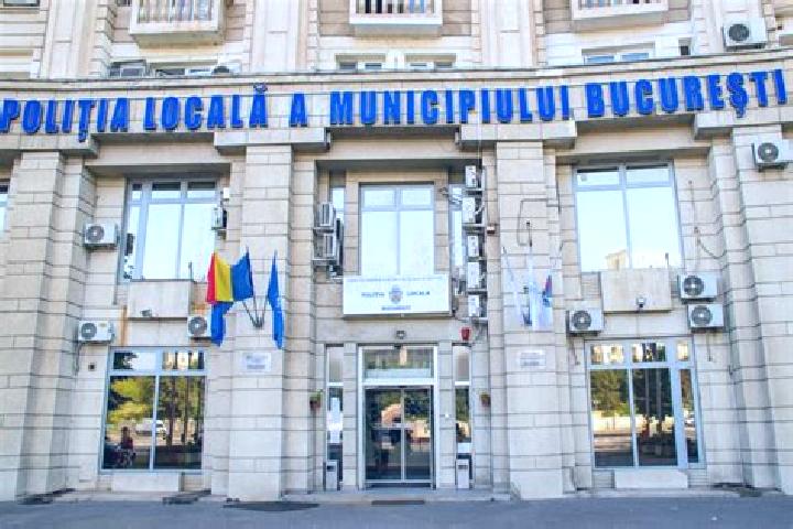 Escorts Teiu, Romania — Local Companions