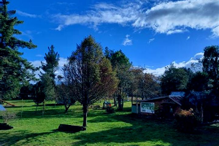 Escorts Temuco, Chile — Local Companions