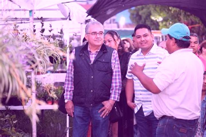 Escorts Tenango de las Flores, Mexico — Local Companions