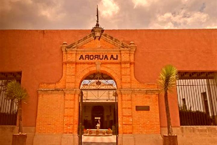 Escorts Tequila 1ra. Seccion (La Aurora), Mexico — Local Companions