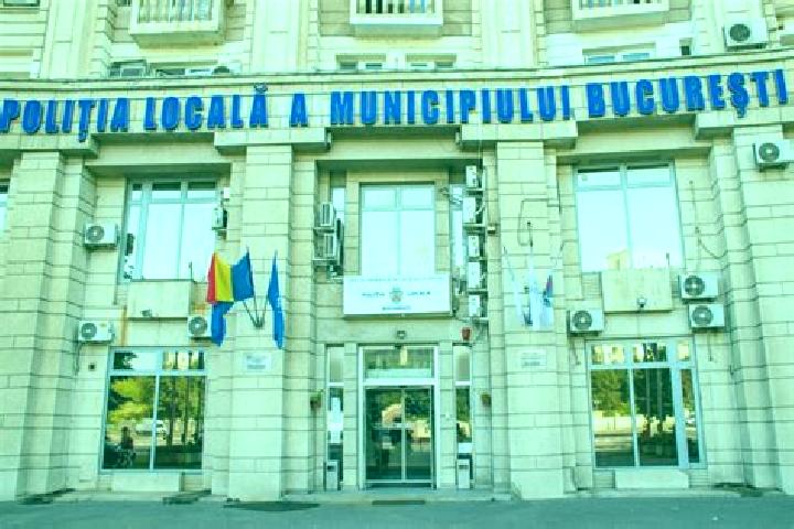 Escorts Terca, Romania — Local Companions