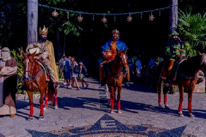 Escorts Teremendo de los Reyes, Mexico — Local Companions