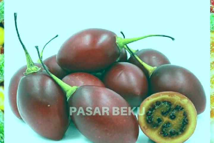 Escorts Terong, Indonesia — Local Companions