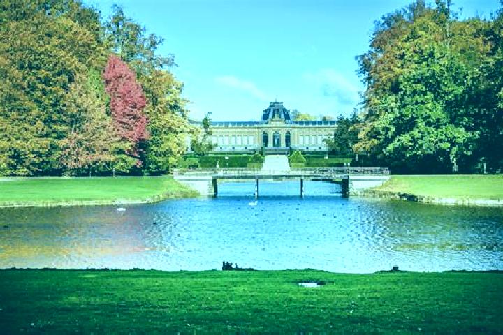 Escorts Tervuren, Belgium — Local Companions