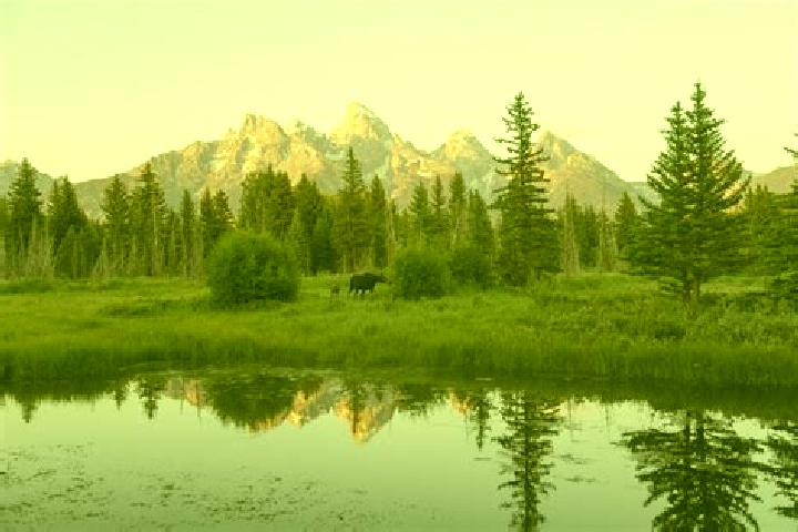 Escorts Teton, United States — Local Companions