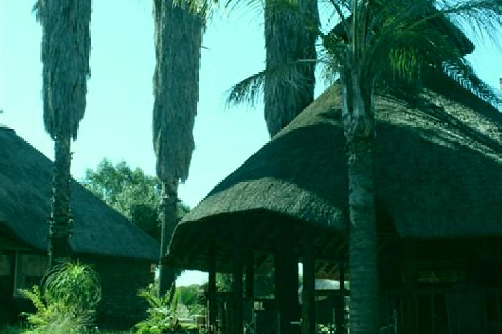 Escorts Thabazimbi, South Africa — Local Companions