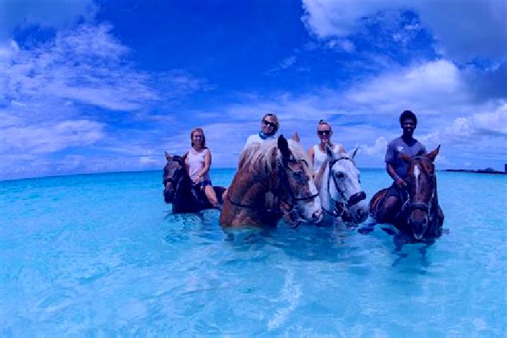 Escorts The Bight Settlements, Turks and Caicos Islands — Local Companions