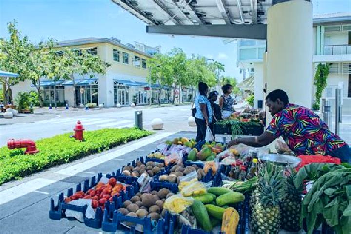 Escorts The Common, Cayman Islands — Local Companions