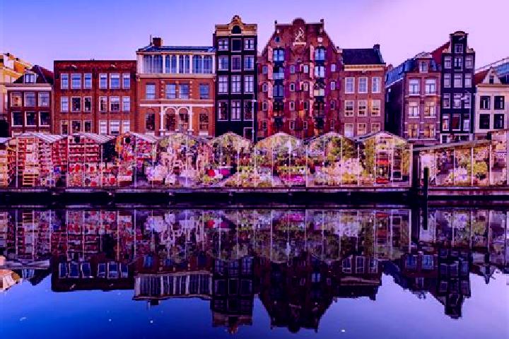 Escorts Theereheide, Netherlands — Local Companions