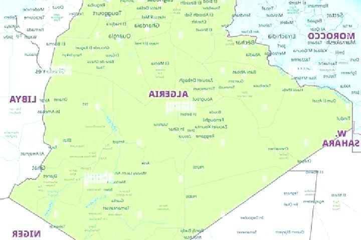 Escorts Thenia, Algeria — Local Companions