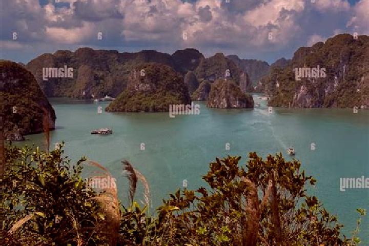 Escorts Thi Tran Thuan Chau, Vietnam — Local Companions