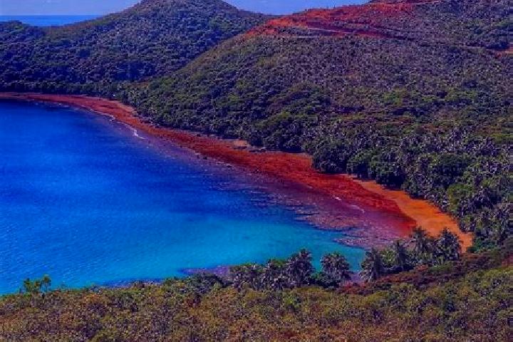 Escorts Thio, New Caledonia — Local Companions