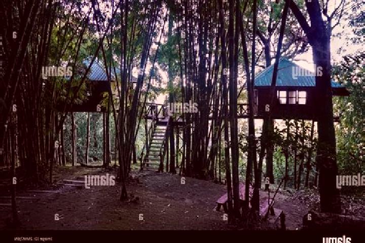 Escorts Thong Pha Phum, Thailand — Local Companions