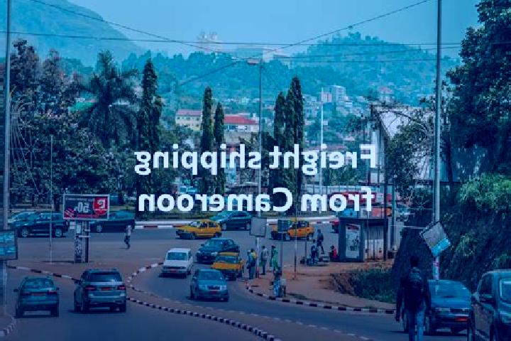 Escorts Tignere, Cameroon — Local Companions
