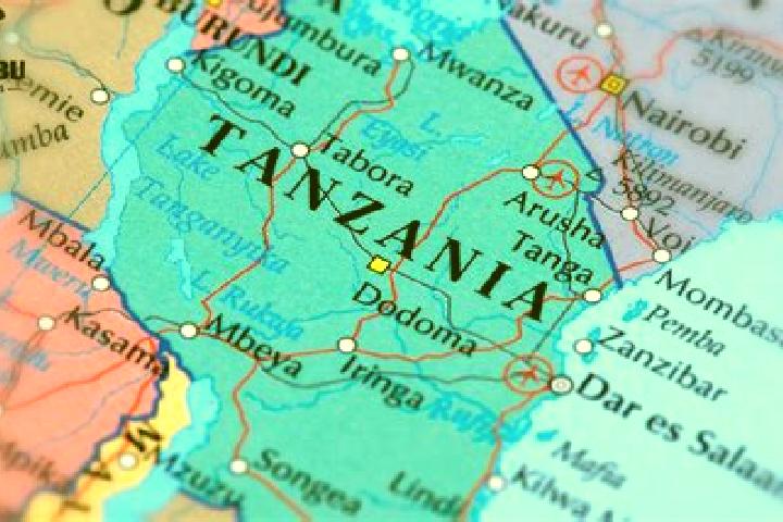Escorts Tingi, Tanzania — Local Companions
