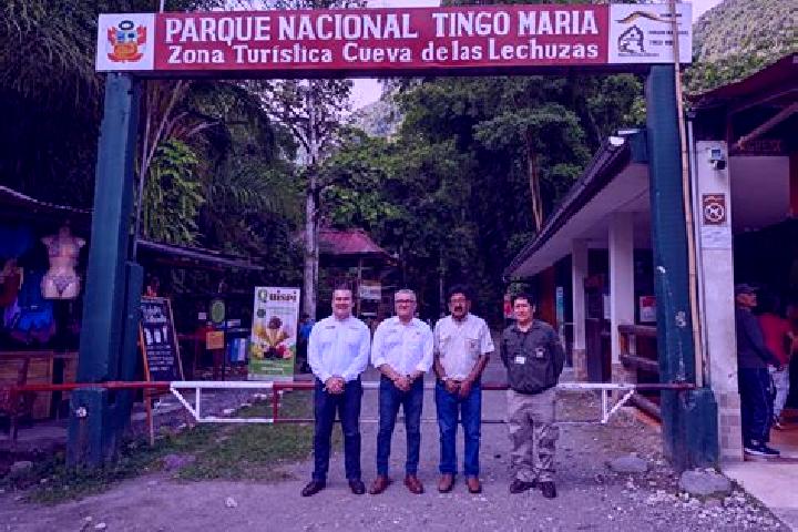 Escorts Tingo Maria, Peru — Local Companions