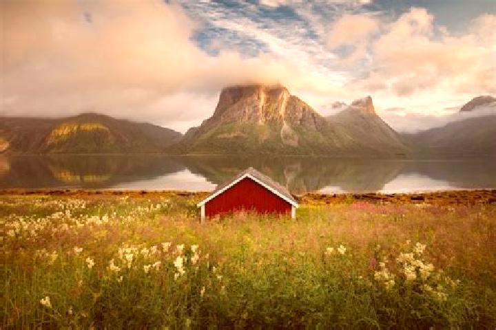 Escorts Tingvoll, Norway — Local Companions