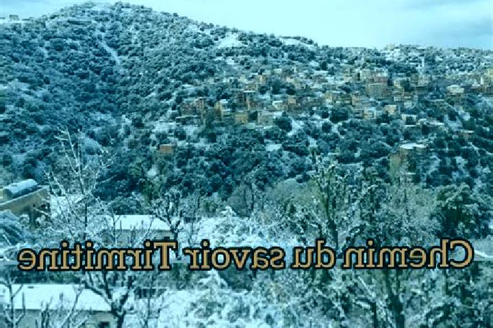 Escorts Tirmitine, Algeria — Local Companions