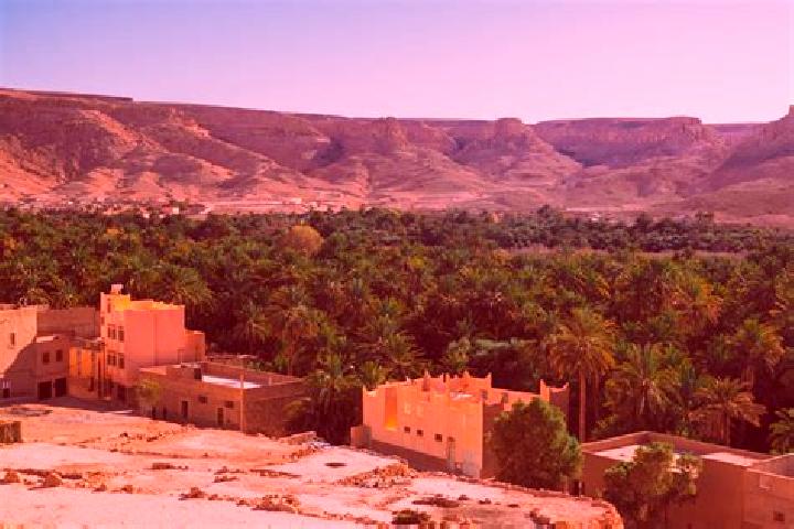 Escorts Tizi-n-Tleta, Algeria — Local Companions