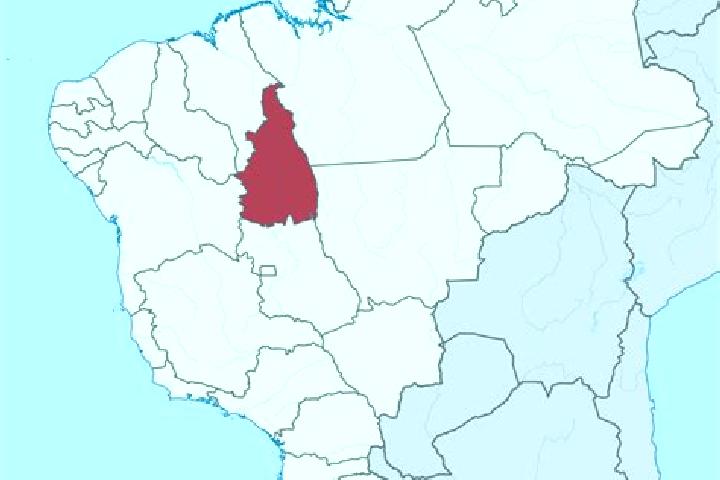 Escorts Tocantins, Brazil — Local Companions