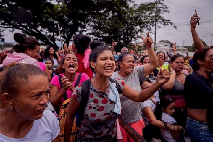 Escorts Tocuyito, Venezuela — Local Companions