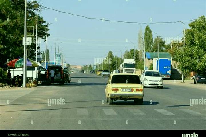 Escorts Toktogul, Kyrgyzstan — Local Companions