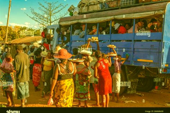 Escorts Toliara, Madagascar — Local Companions