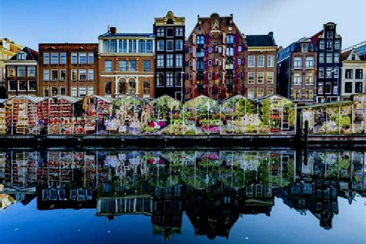 Escorts Tollebeek, Netherlands — Local Companions