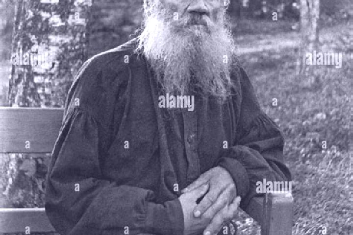Escorts Tolstoy-Yurt, Russia — Local Companions