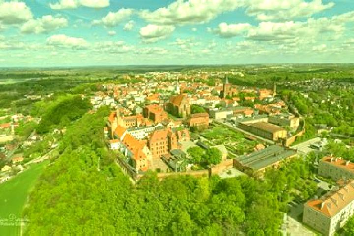 Escorts Tomaszowice, Poland — Local Companions