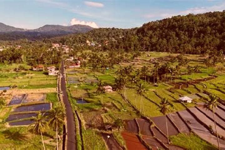 Escorts Tomohon, Indonesia — Local Companions