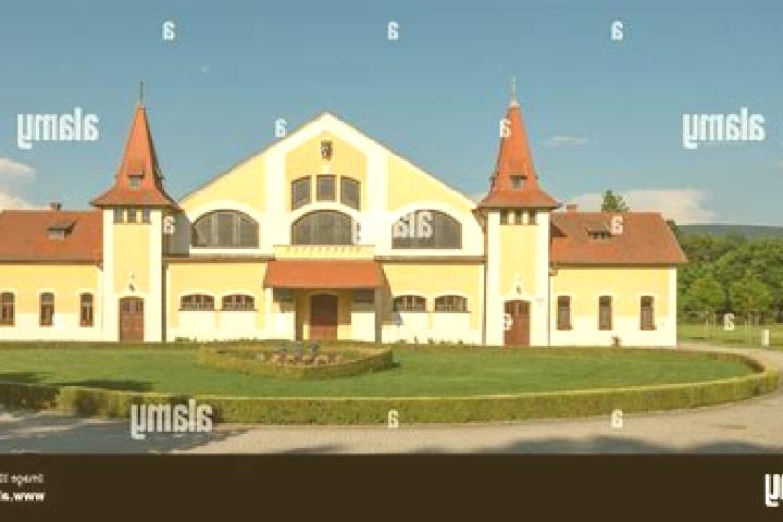 Escorts Topolcianky, Slovakia — Local Companions