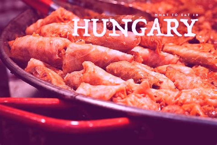 Escorts Torokszentmiklos, Hungary — Local Companions