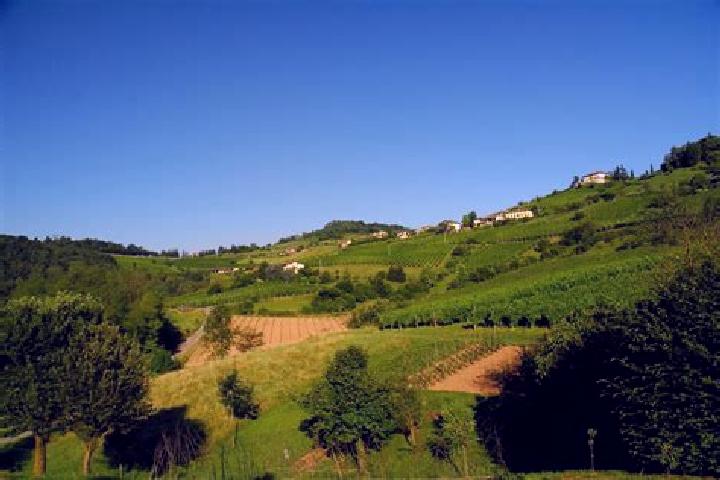 Escorts Torre de Roveri, Italy — Local Companions