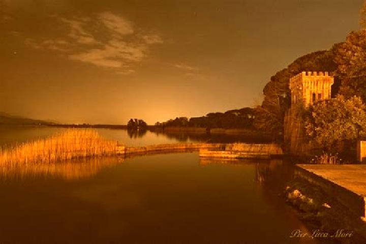 Escorts Torre del Lago Puccini, Italy — Local Companions